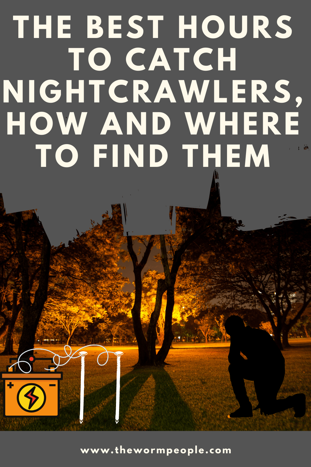 when-do-nightcrawlers-come-out-at-night